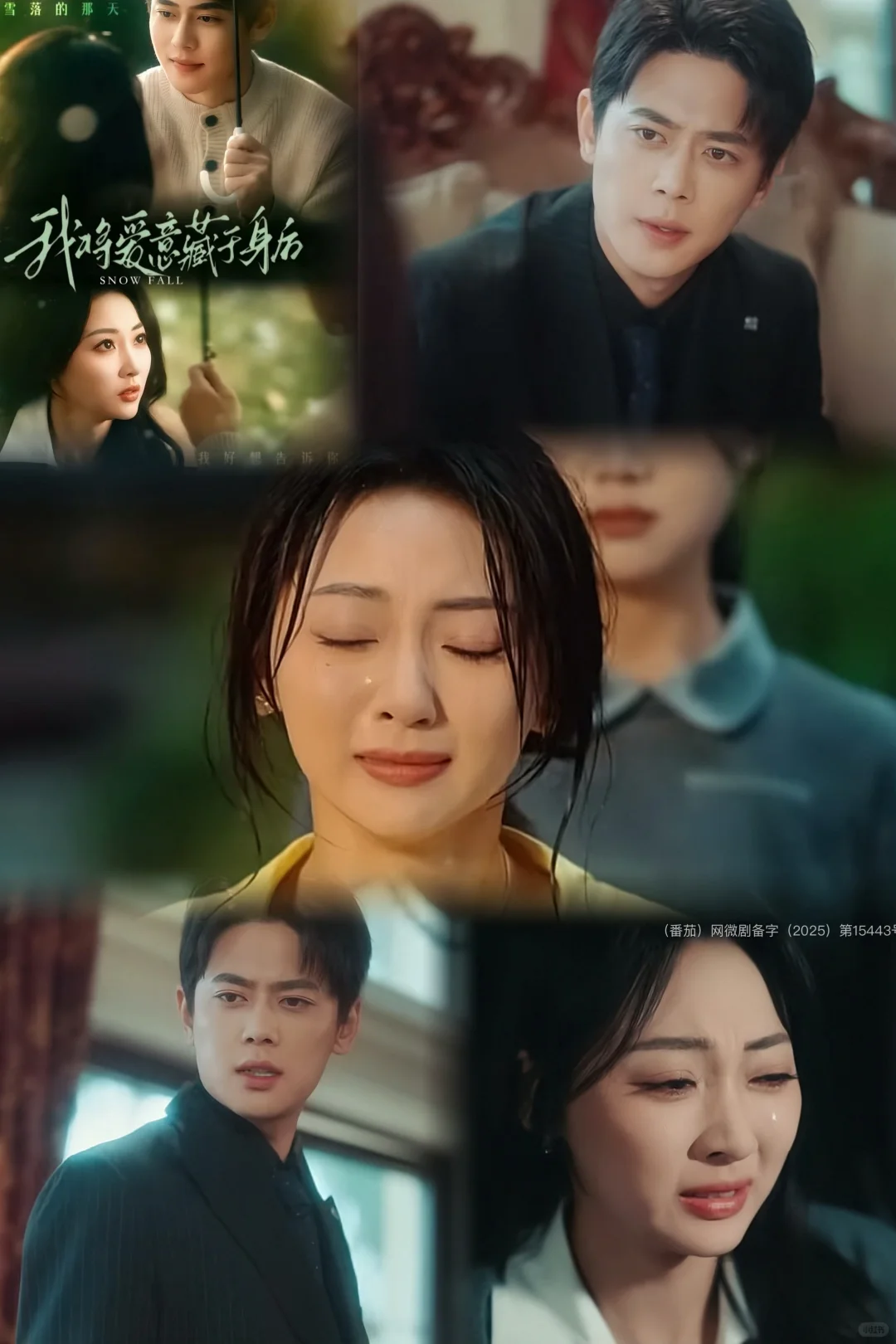 虐恋情深——这几部我看的哭死了！