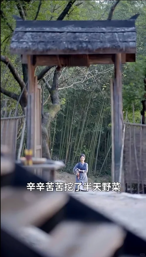 荒年逆袭!婆婆的致富秘籍大公开💡