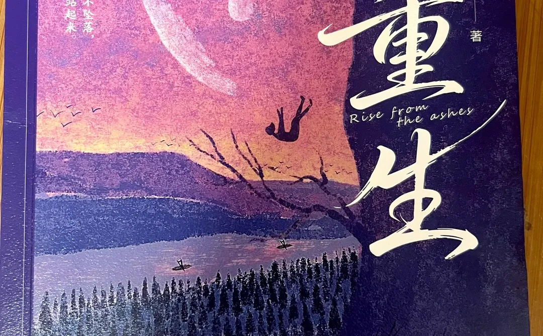 读书推荐：《重生》