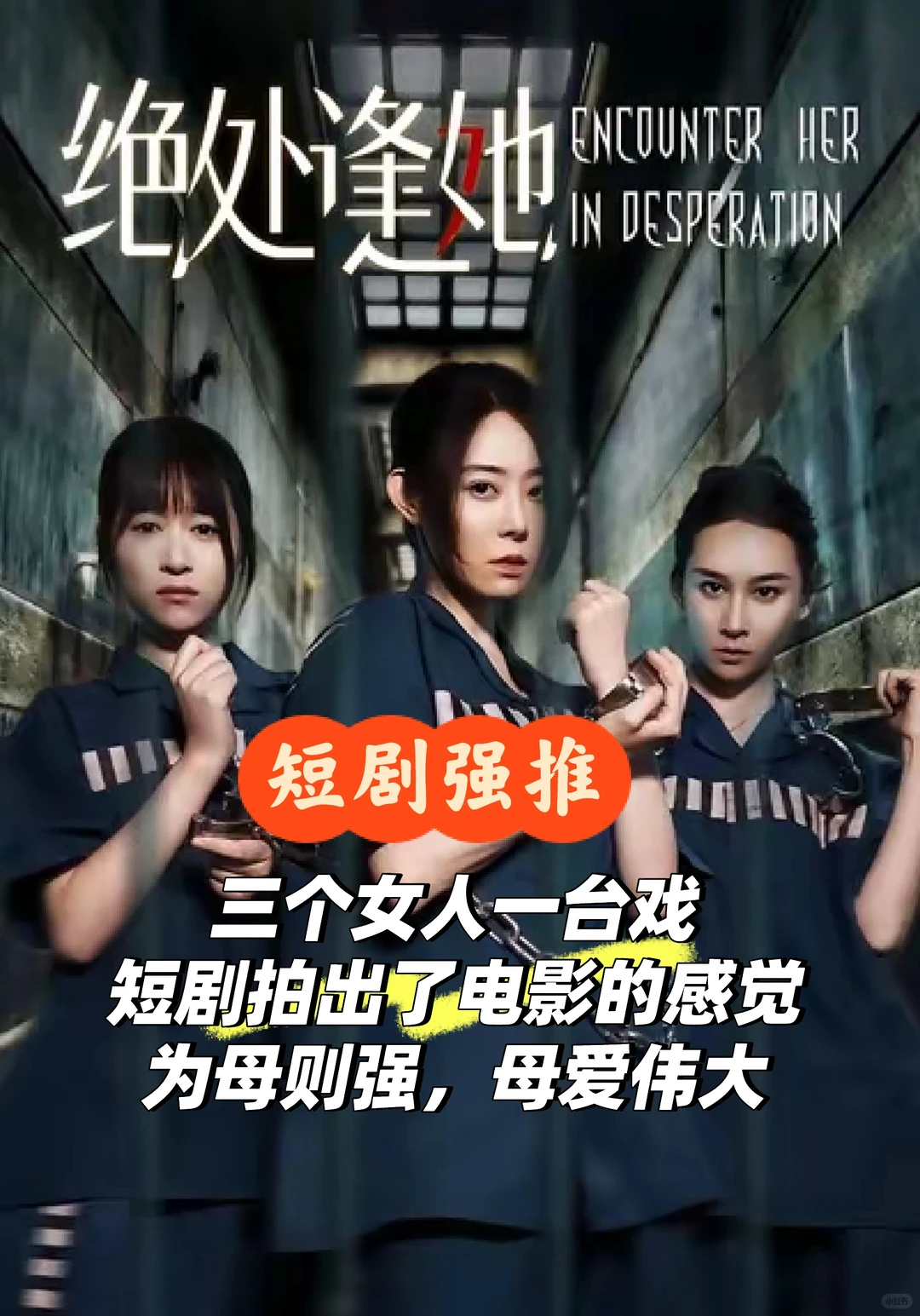 好剧推荐-绝处逢生，看三个女人如何破局