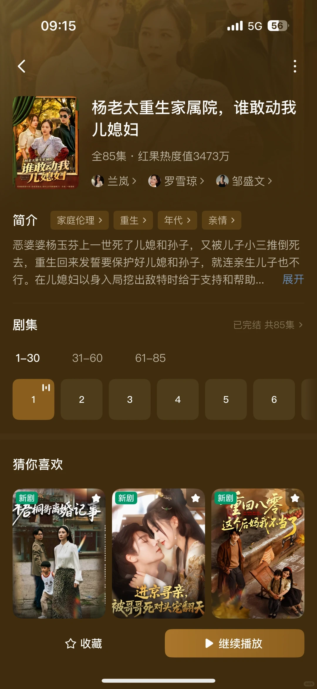 最新版恶婆婆重生，最佳