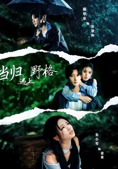 N部新剧上线，王格格成文旅剧专业户？