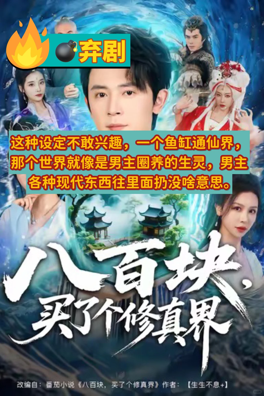 12月8日🍎短剧热度TOP5测评