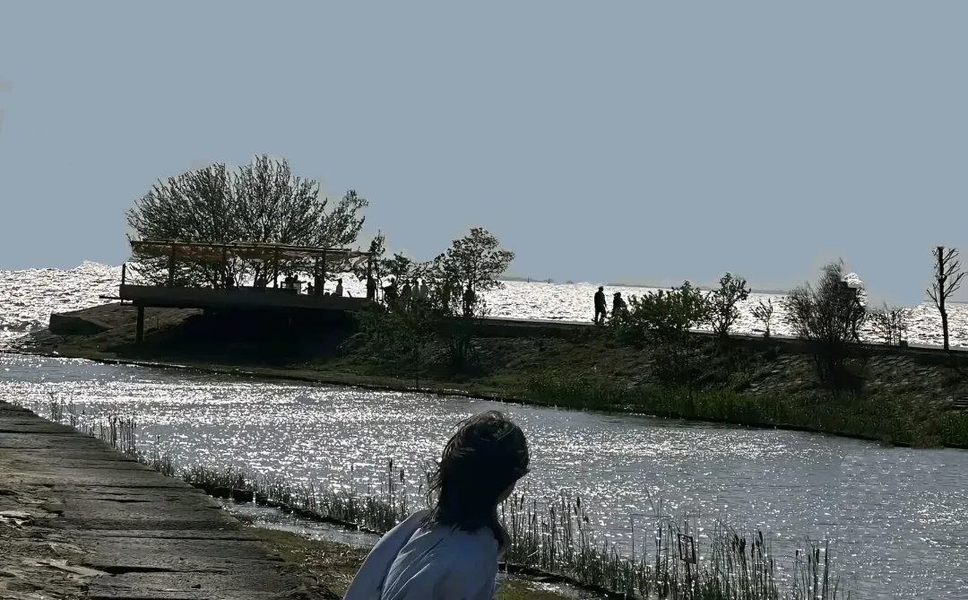 今年看了四部现代剧