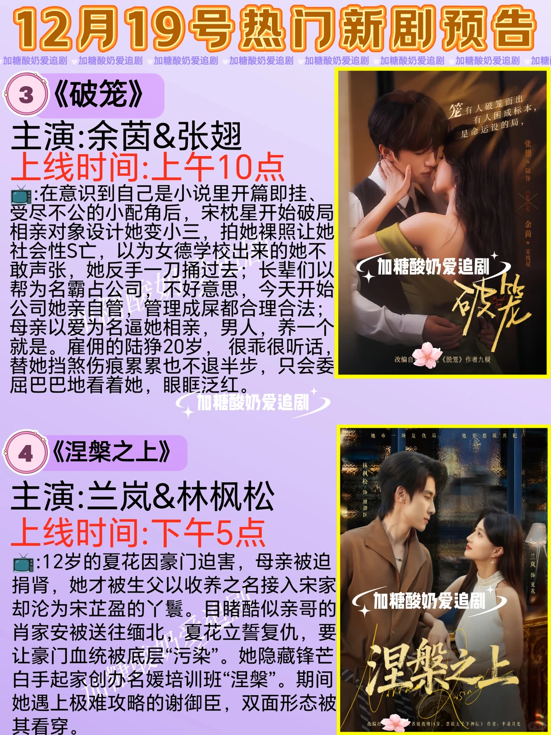 天花板短剧💥12月19日热门短剧预告