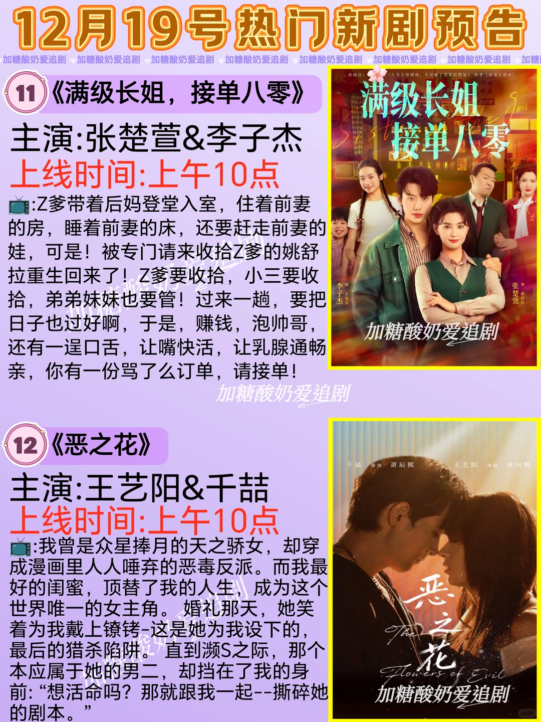 天花板短剧💥12月19日热门短剧预告