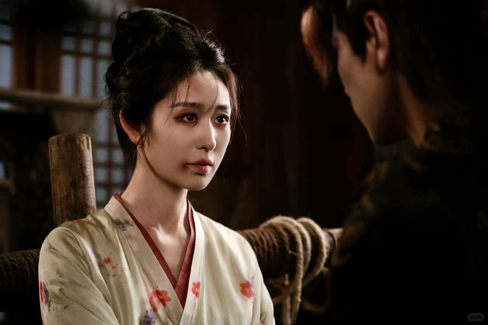 穿书成恶毒女配，复仇🆚相爱