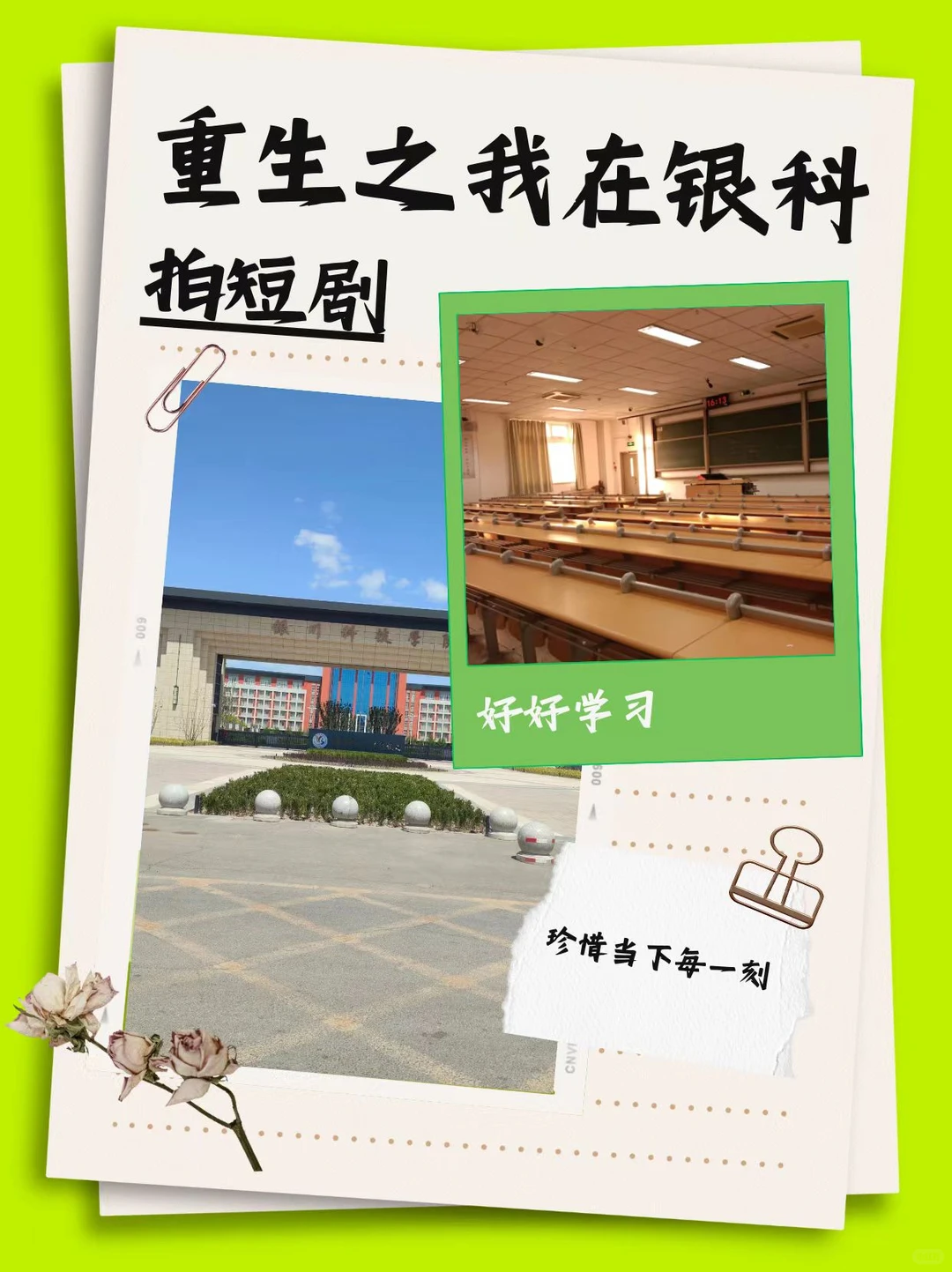 重生之我在银科拍短剧