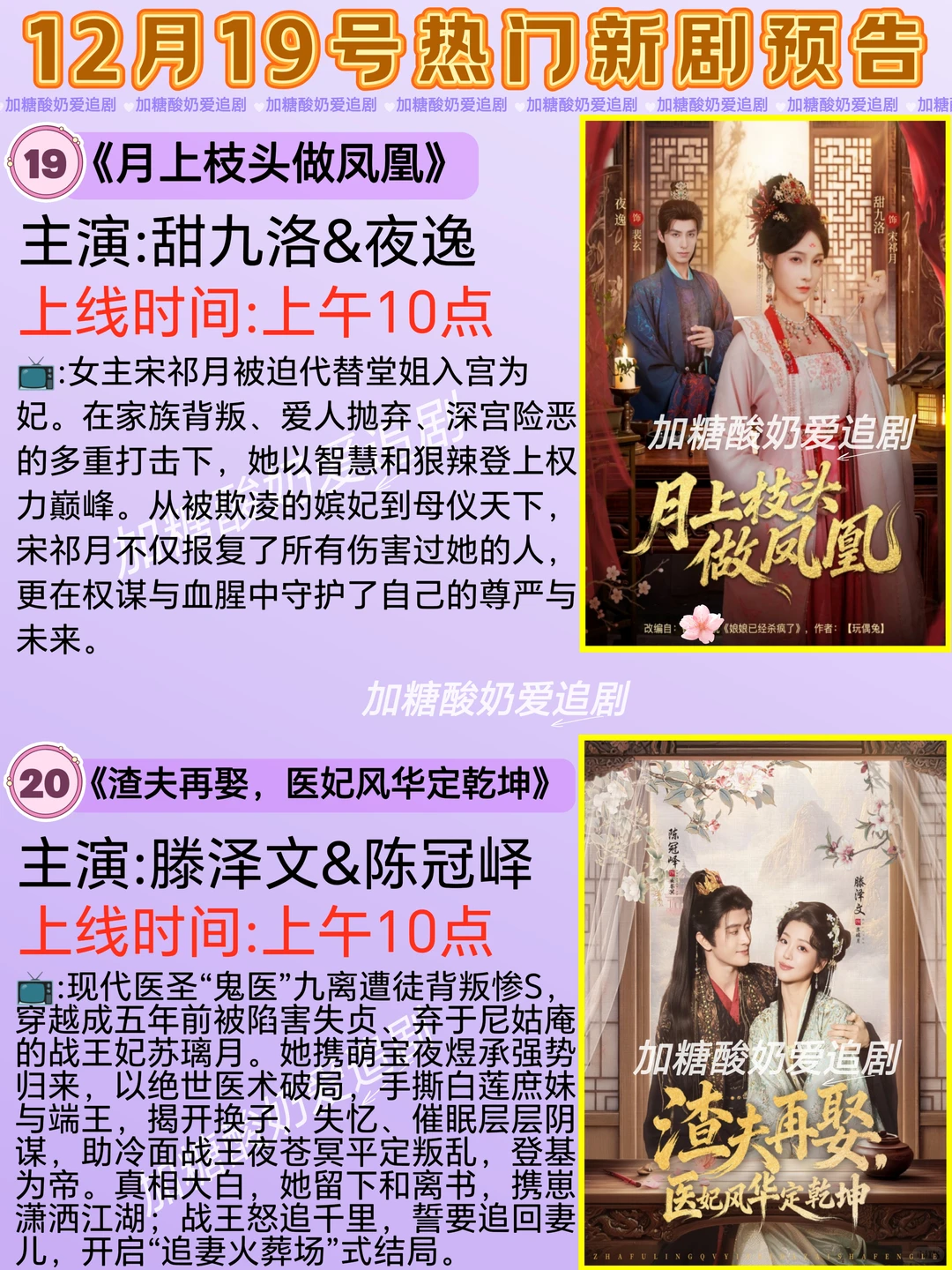 天花板短剧💥12月19日热门短剧预告