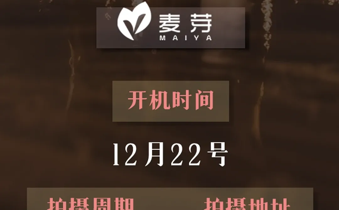 烽火重生：民国佳人复仇录