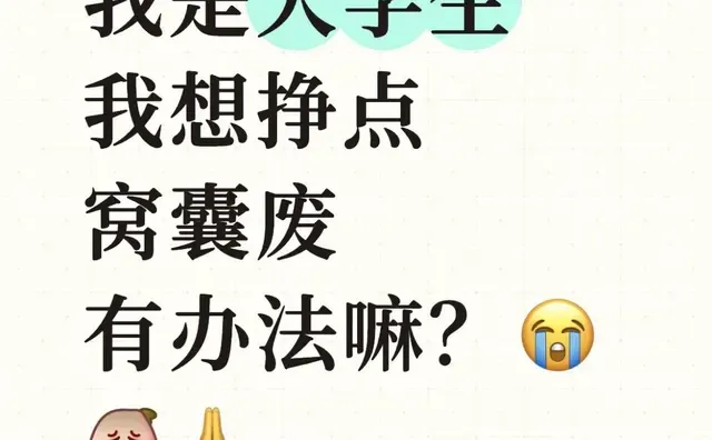 我是大学生，我想挣点窝囊废有办法嘛？
