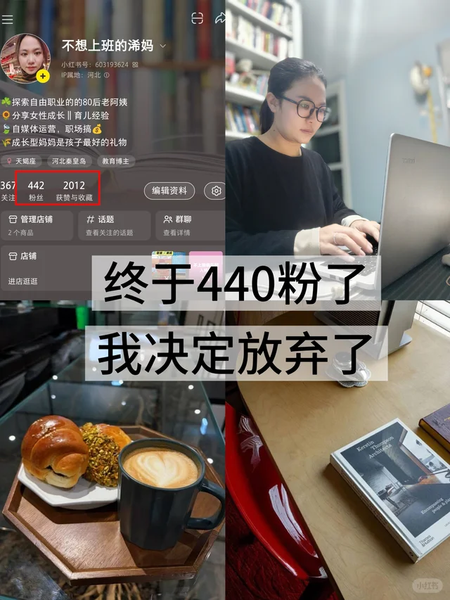 终于440粉了我决定放弃了