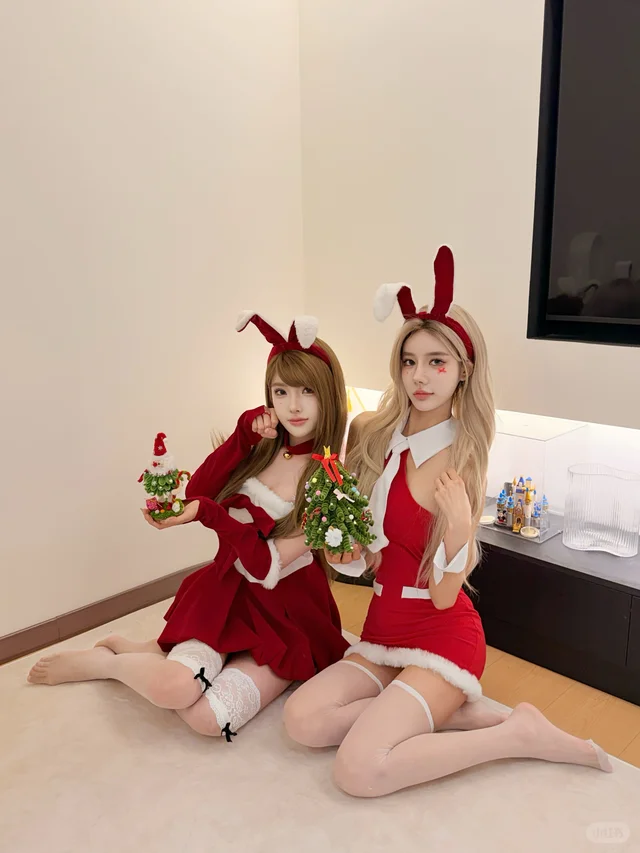 预制圣诞照 圣诞是乖巧的兔兔