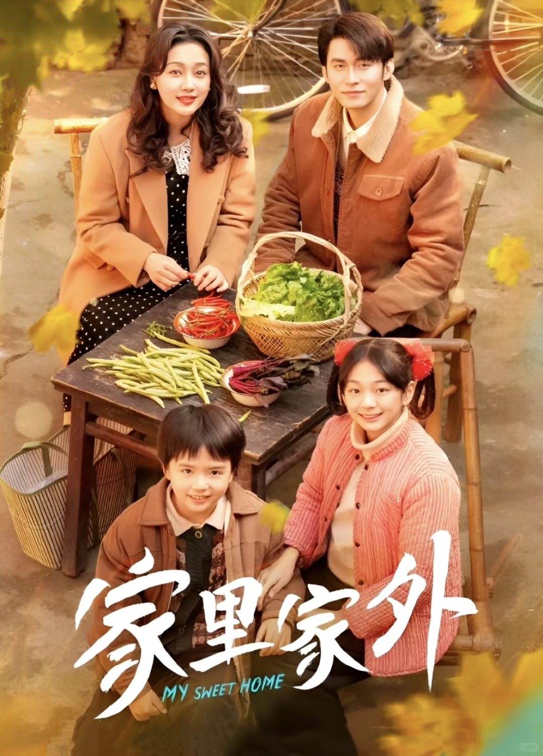 《家里家外1》8.5分，重组怀旧乌托邦