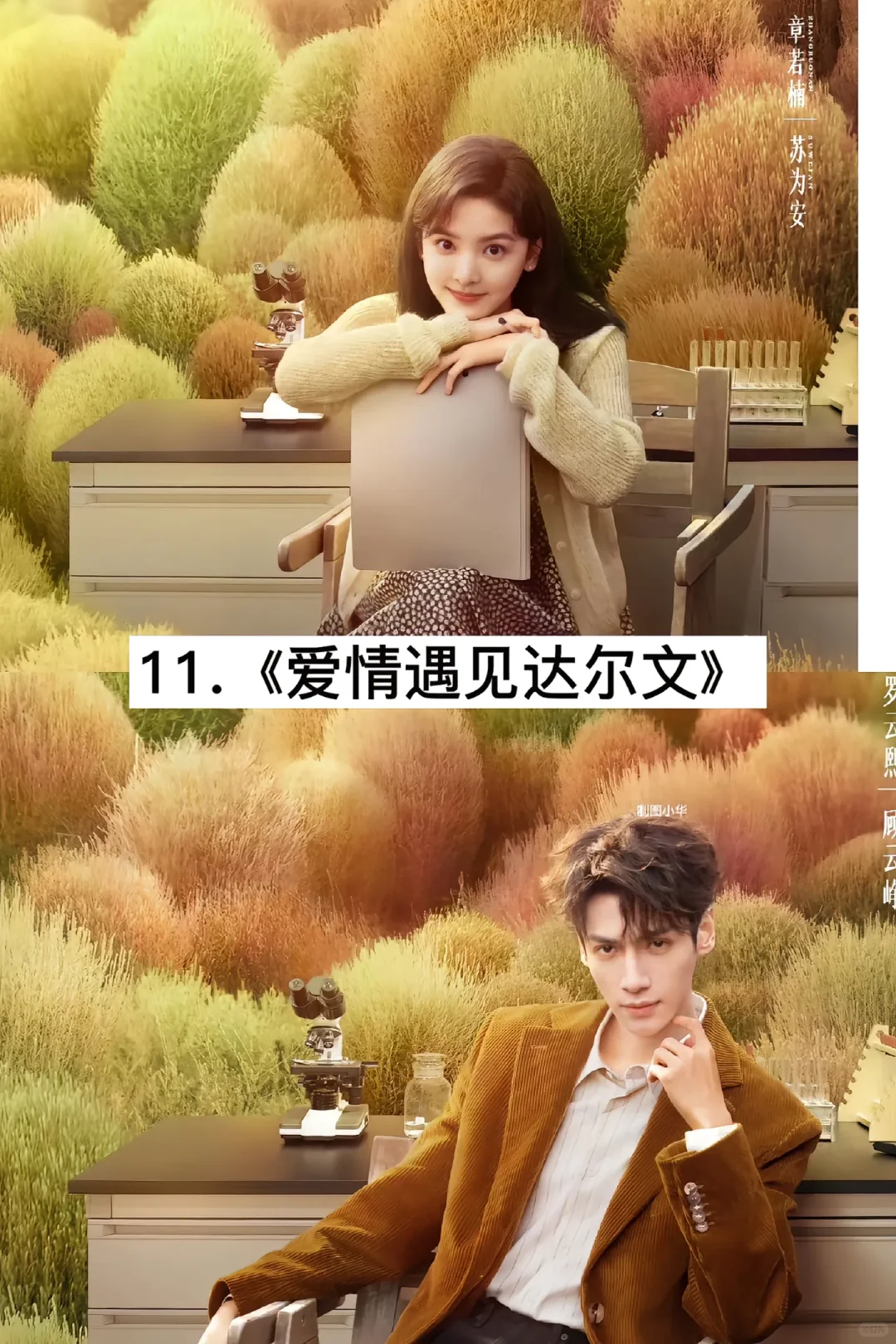 17部霸道总裁剧、颜值担当、超级好