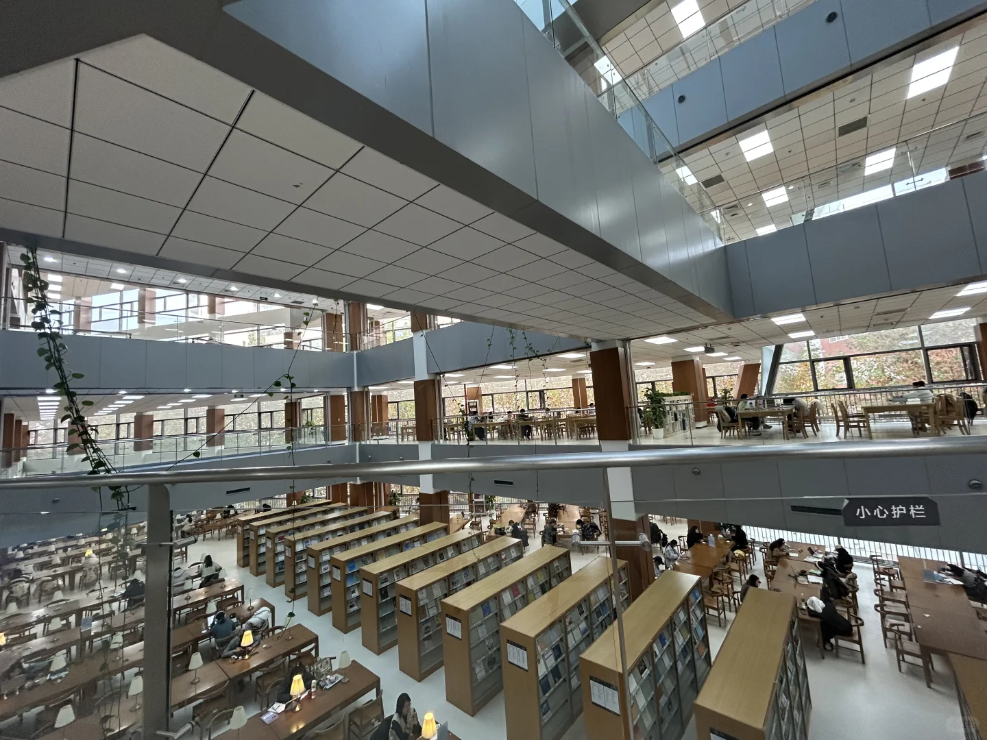 博论培养了你哪些新爱好？我先说！短剧网文