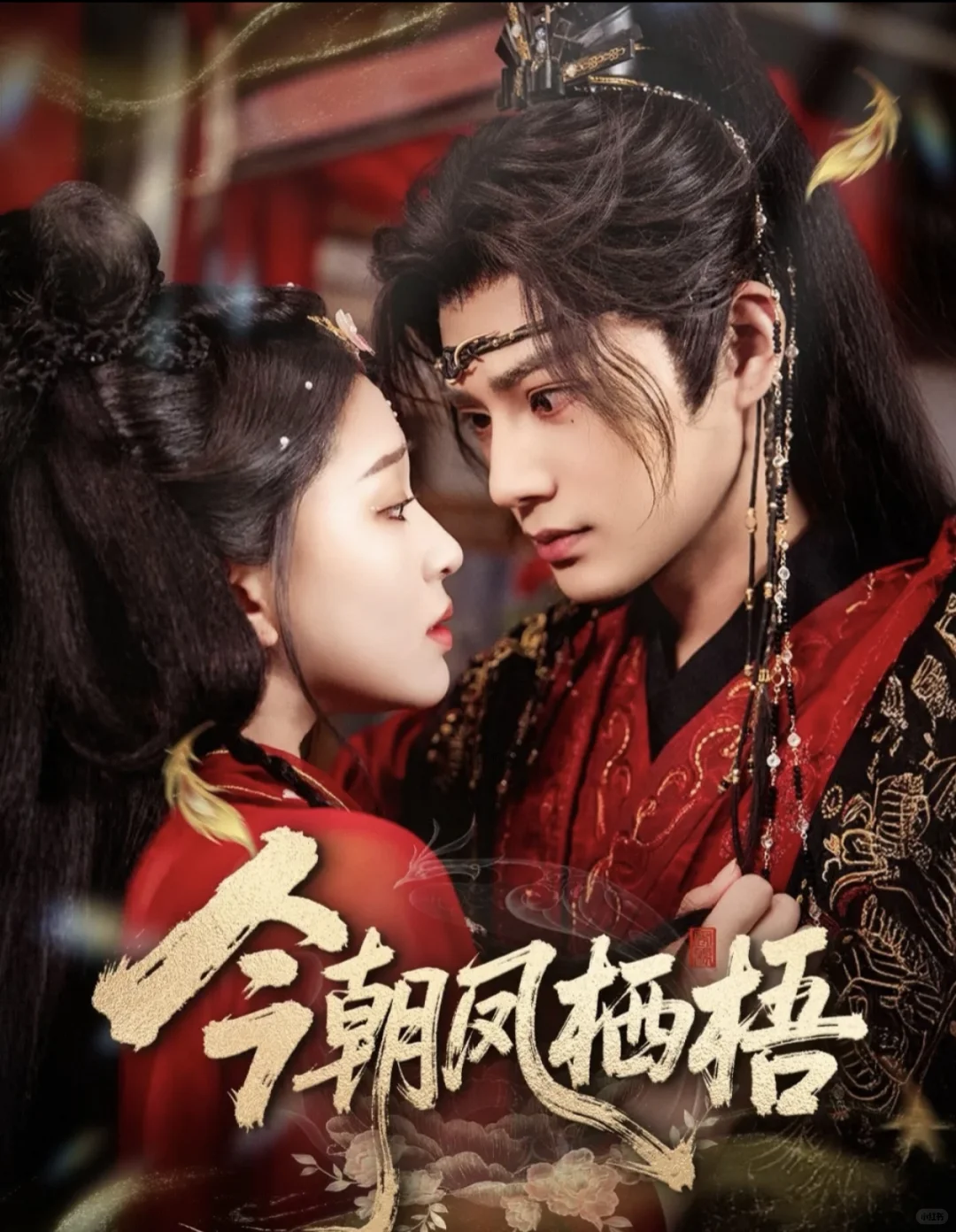 🎬『11月20日』短剧上新｜欢迎推荐