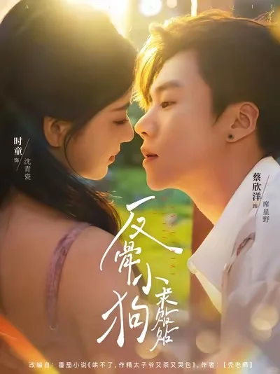 现代短剧推荐（三）