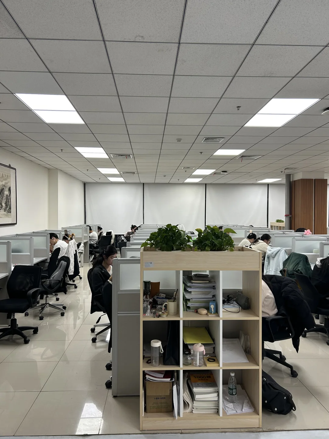 博论培养了你哪些新爱好？我先说！短剧网文