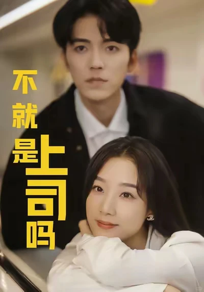 这可能是王小亿热度最低但精品的都市职场剧