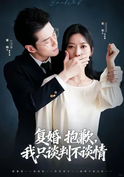 11月短剧 复婚抱歉，我们只逃谈判不谈情