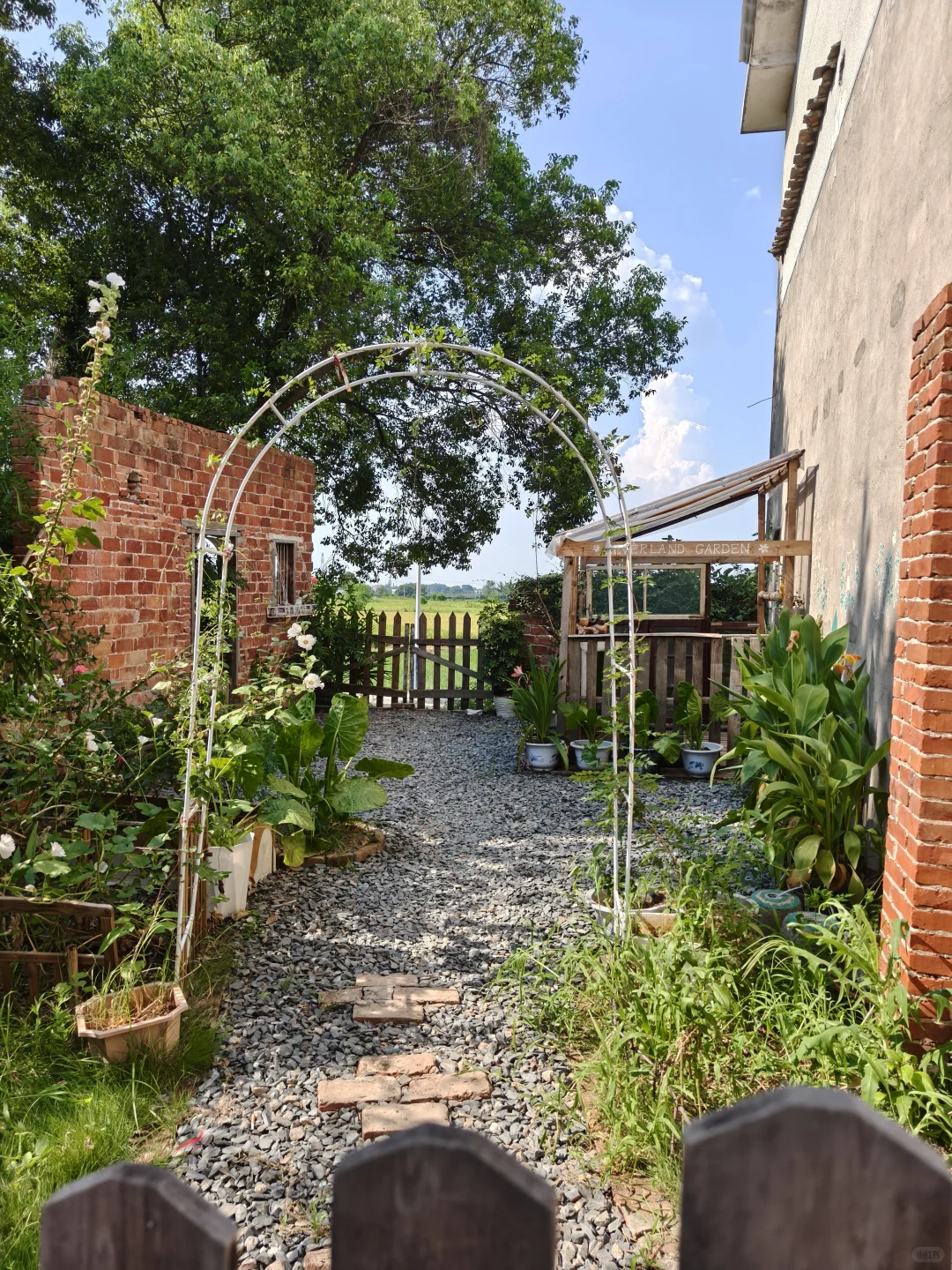 叒一部短剧在小院开机啦~