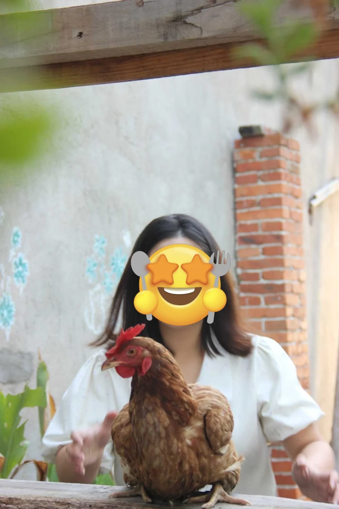 叒一部短剧在小院开机啦~