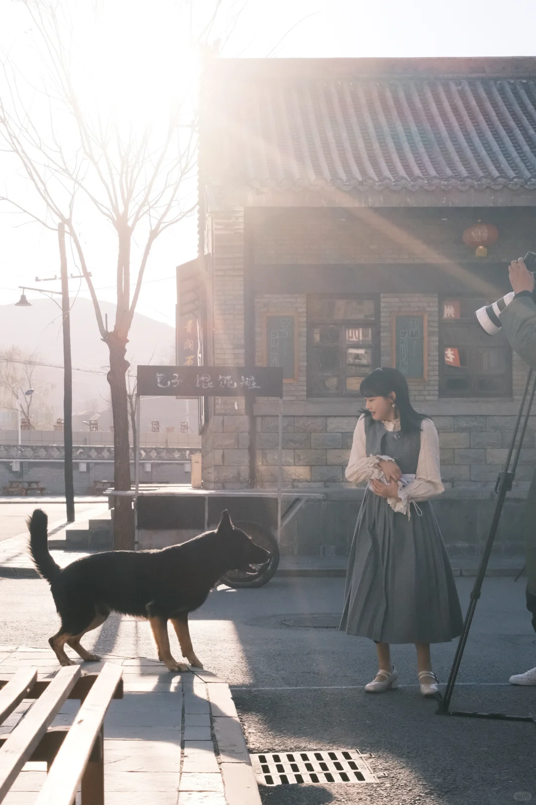 70年代的扇茶花