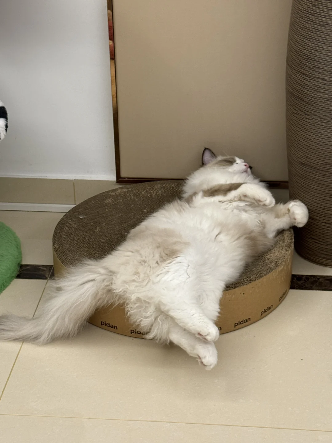 霸总和他的小娇妻