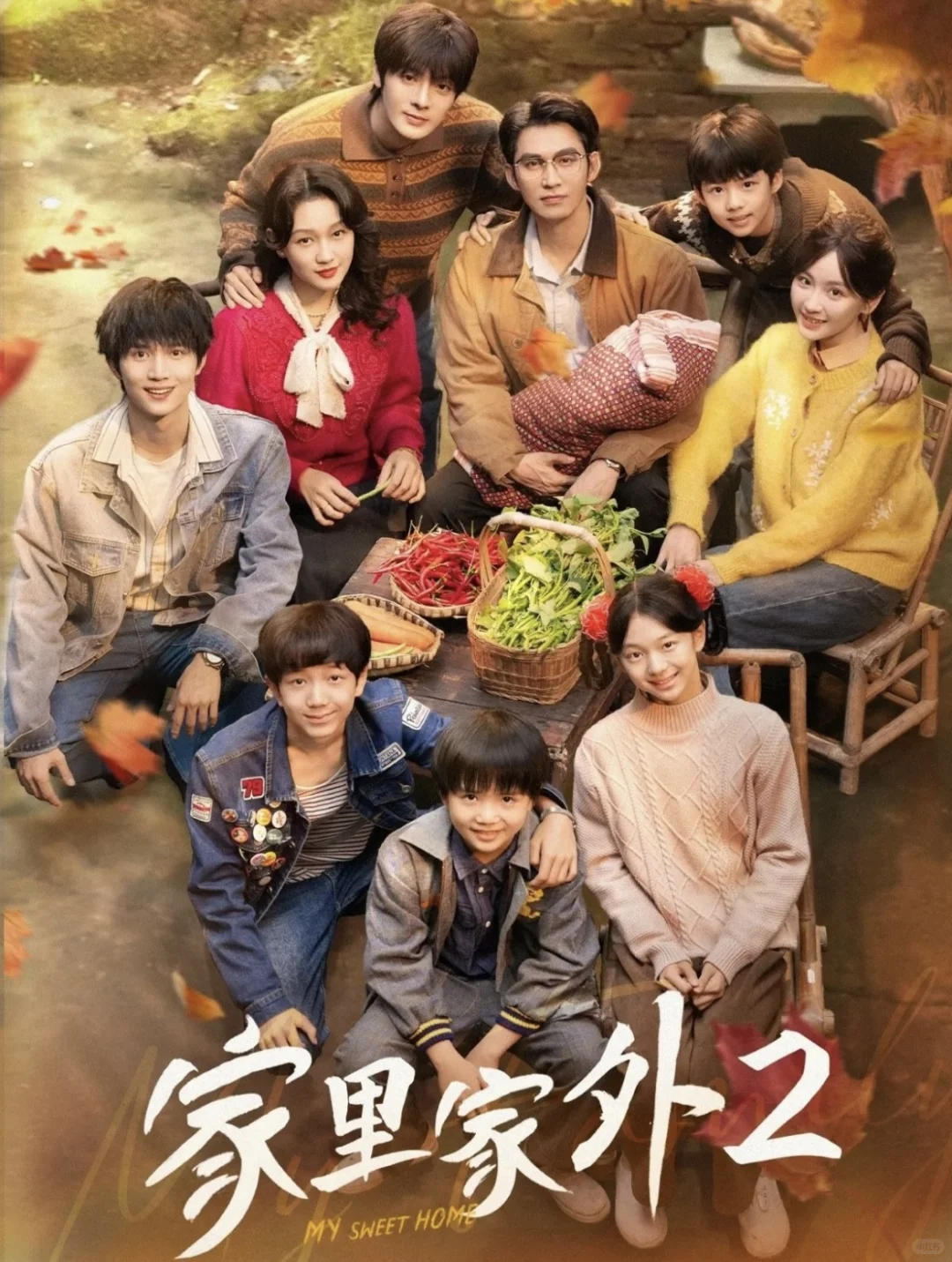 《家里家外2》9分，活学活用活灵活现岁月回声