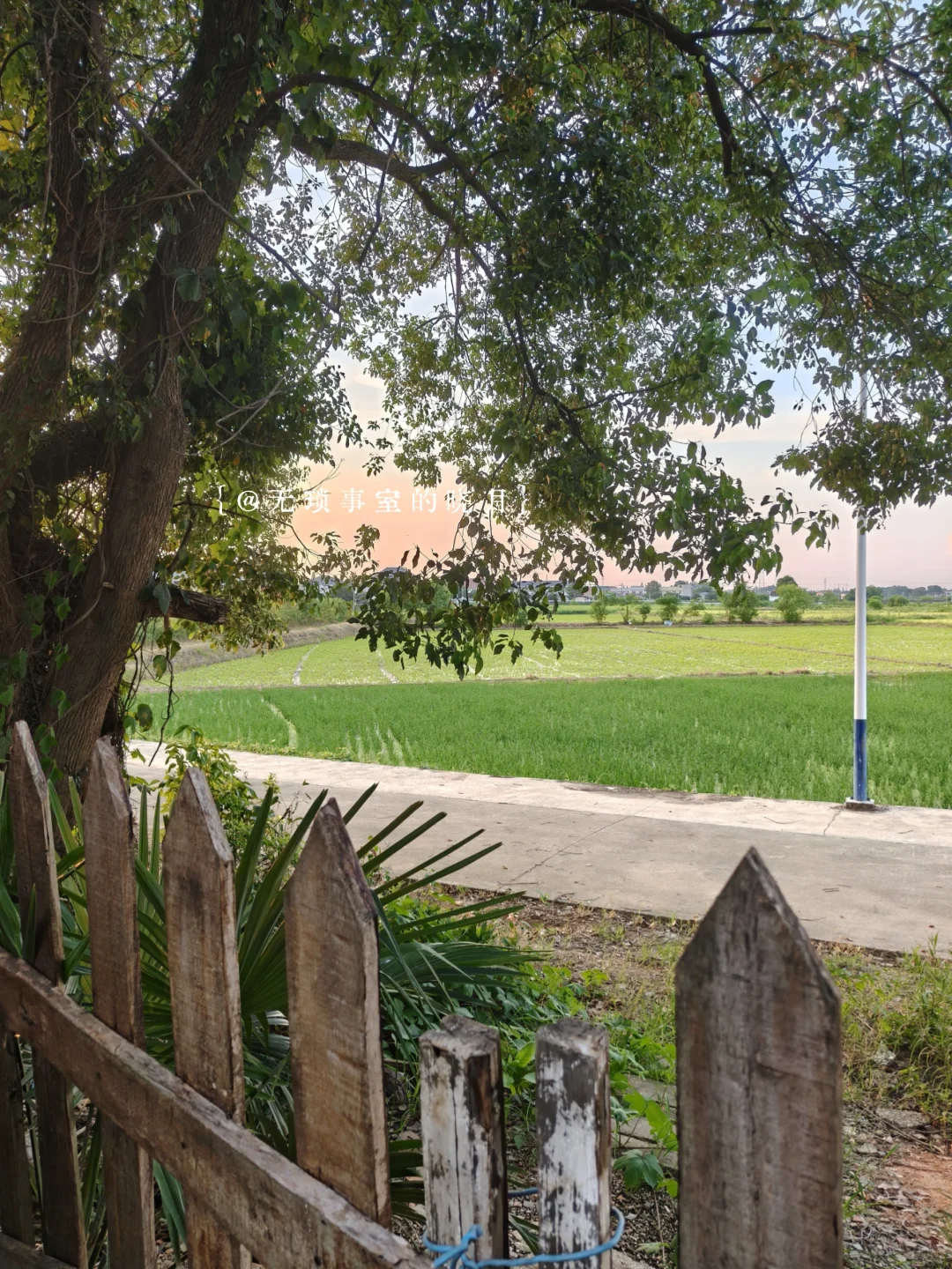 又一部在俺们小院取景的短剧🎬上线啦~