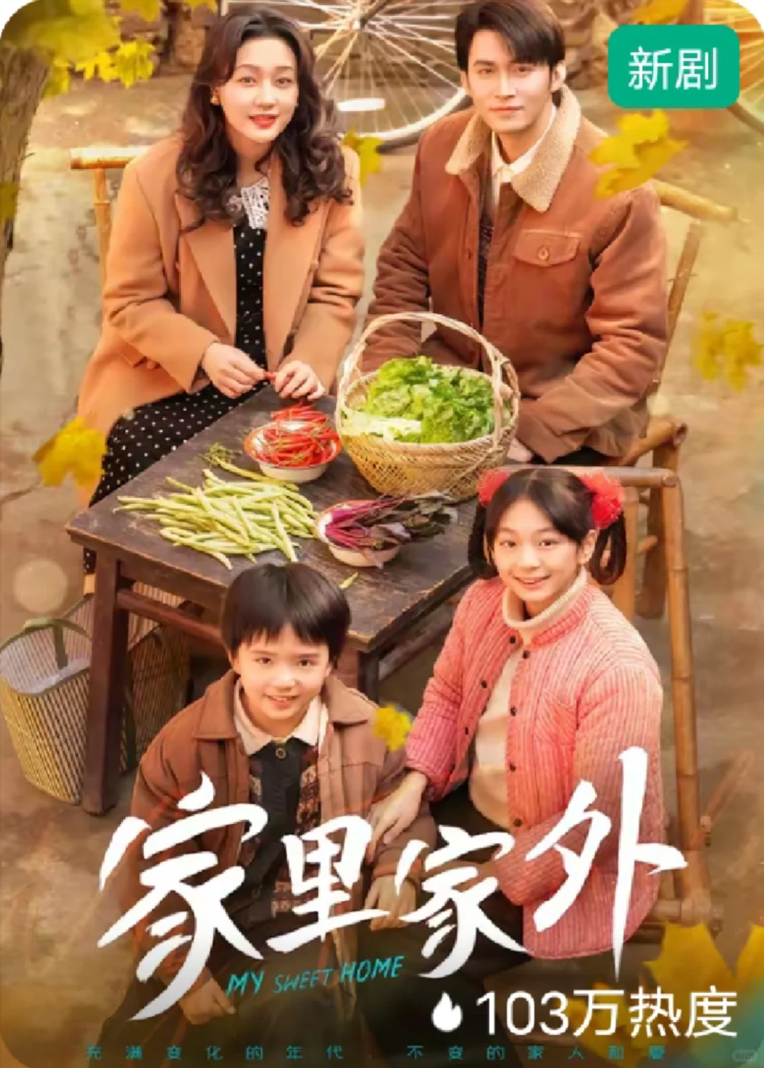 家里家外❤️荣升为我年代短剧top1了！