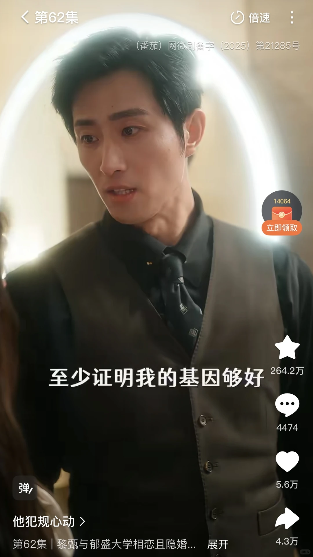 谁懂 网剧将成为x冷淡时代的电子救赎