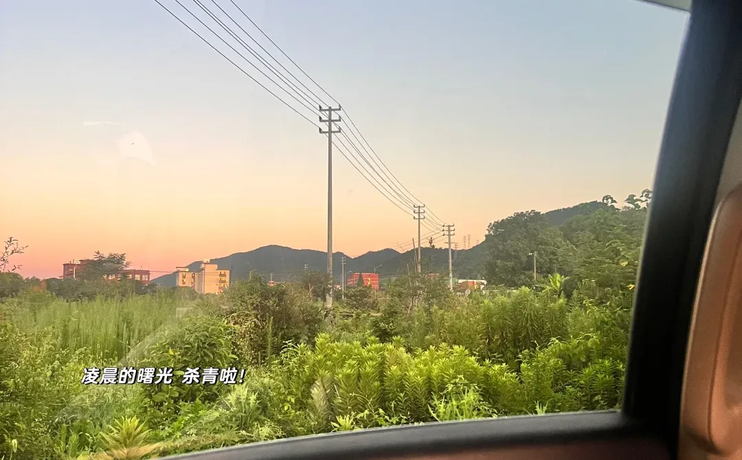 重生之我在村里当傻白甜…