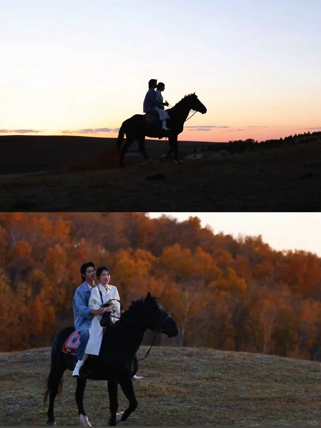 《放羊吧老板》治好了我的精神内耗‼️