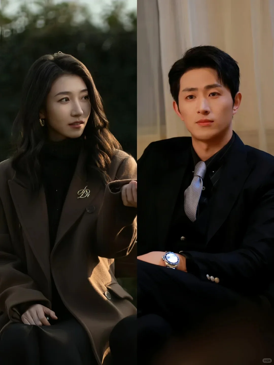 高冷政界新贵×佛系大学讲师，高甜来袭！