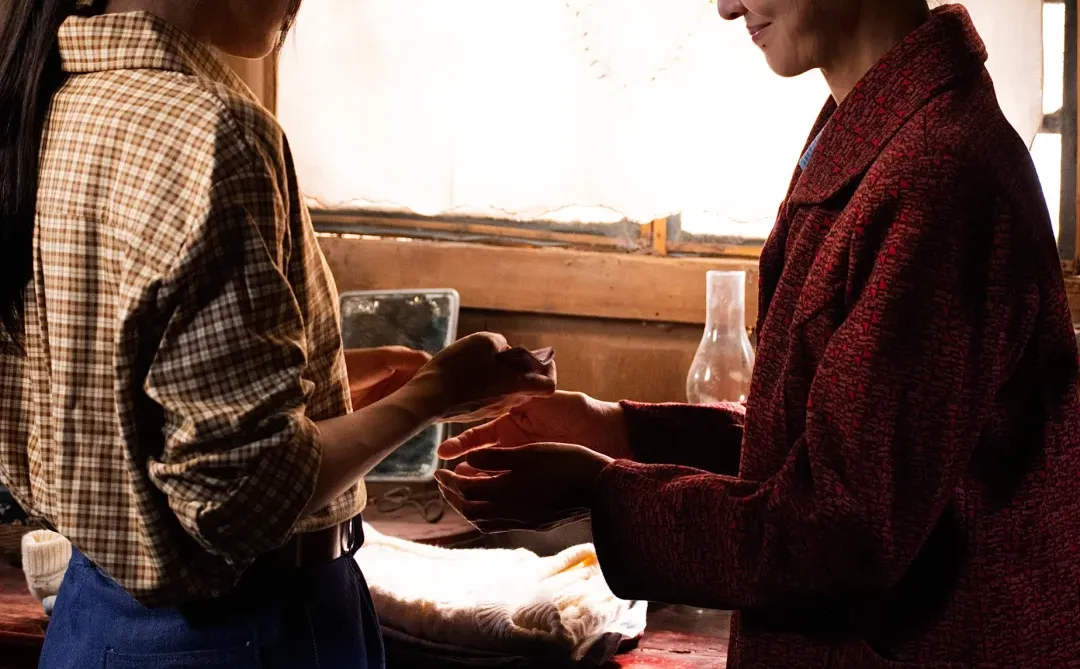 《回到70年代霸道婆婆带我飞》🍎破10亿啦！