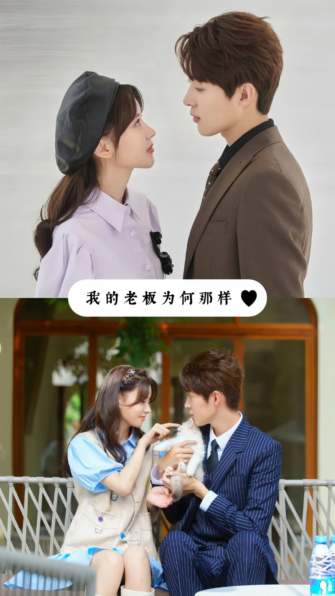 太太太好看了！推荐12部都市爱情甜宠剧