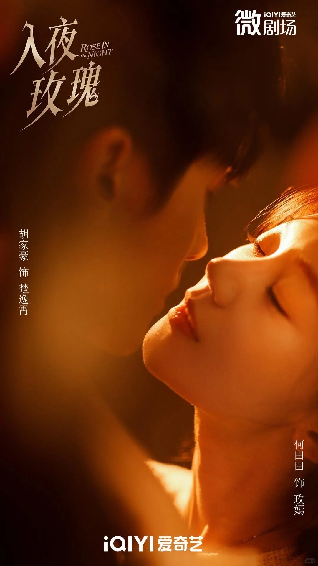 🌹 最新作品：《入夜玫瑰》