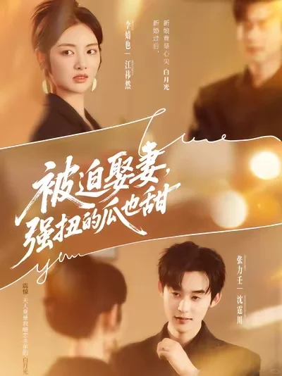 新婚过后，新娘👰竟是白月光