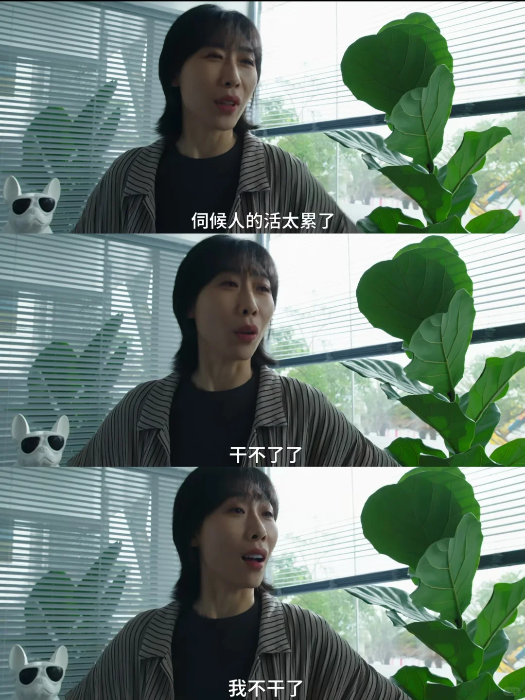 新剧来啦‼️预告笑疯了