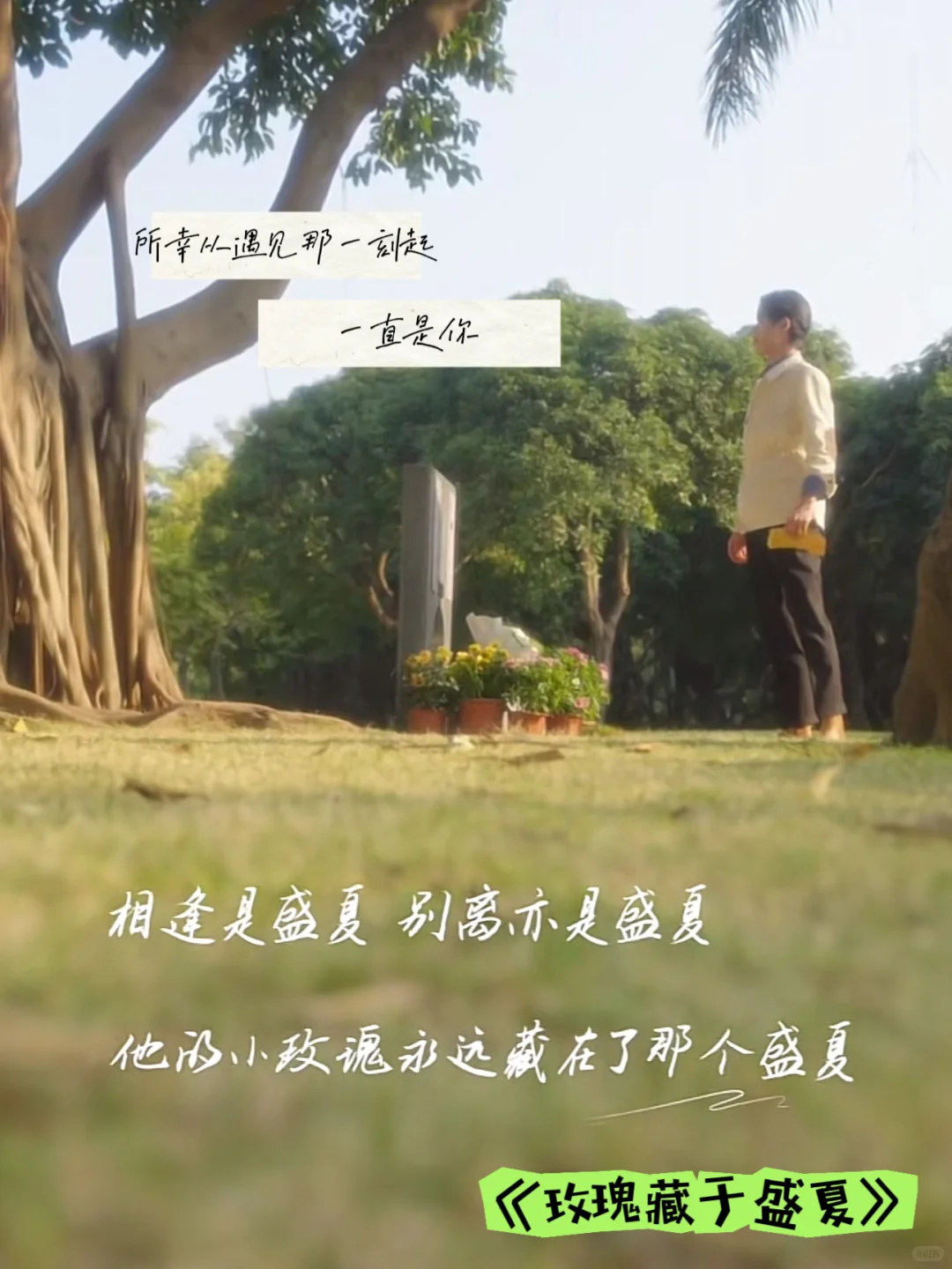 短剧党速存‼️12部高口碑神作甜虐封神✨