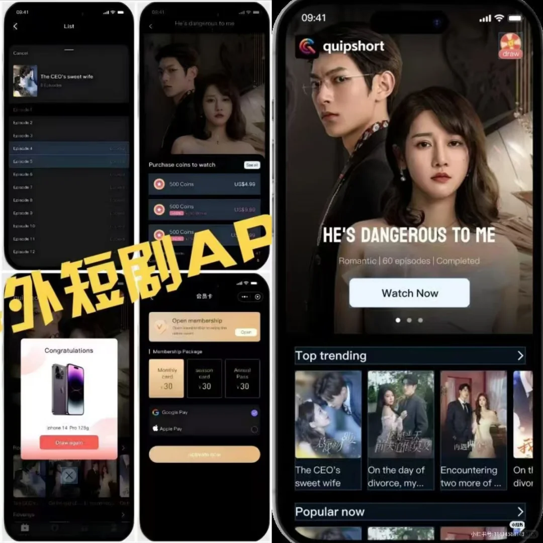 海外短剧市场情况