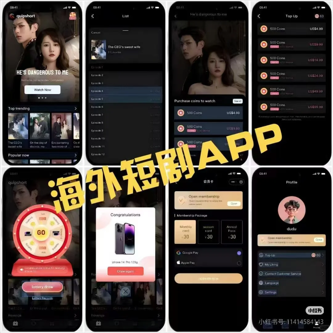 海外短剧市场情况