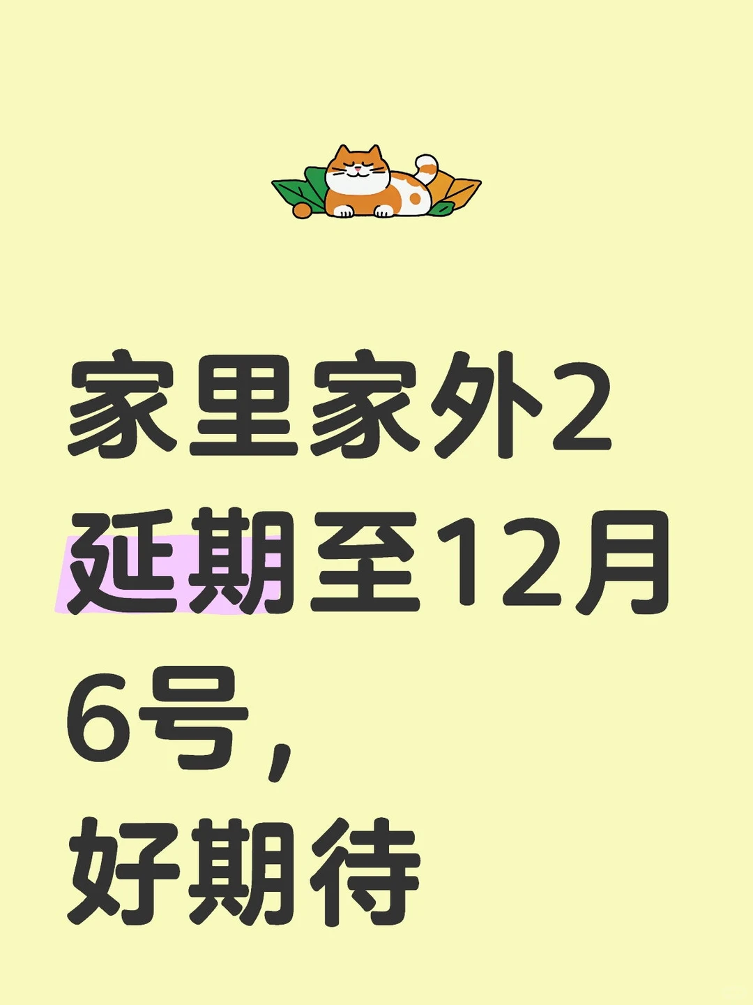 家里家外12月6号播出
