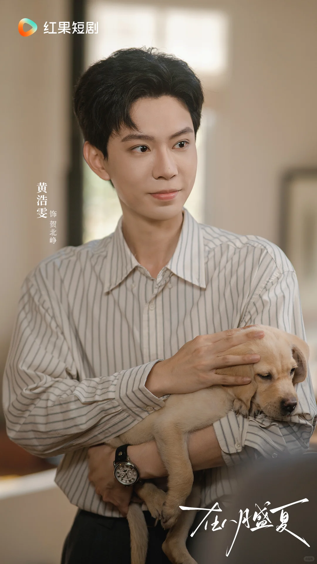 10月24日！《在八月盛夏》定档即高能