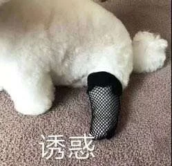 刷短剧刷到凌晨4点！！！