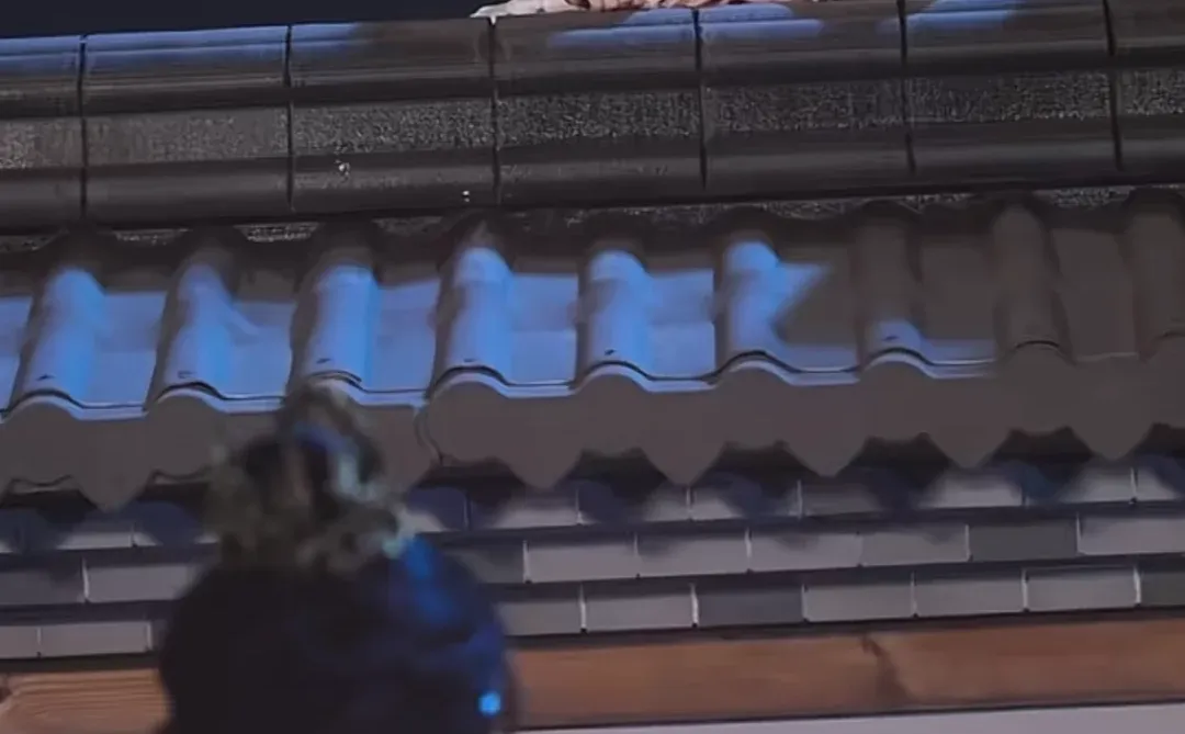 茶茶的女主，我喜欢