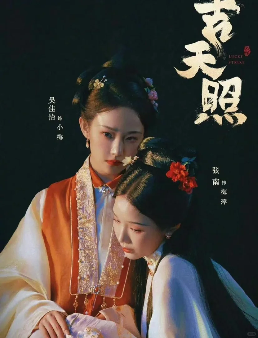 一看是于正拍的就理解了