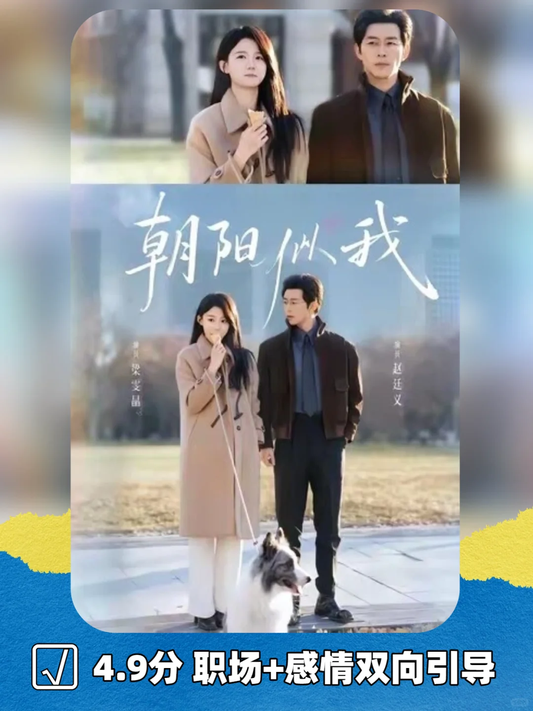 《朝阳似我》不浮夸的职场剧 4.9/5